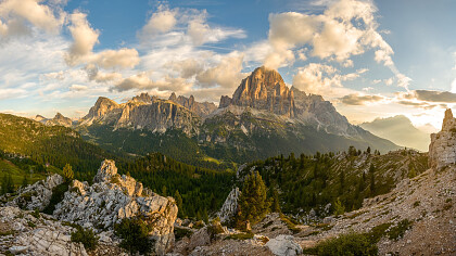 Night Refuge Pomedes - Cortina