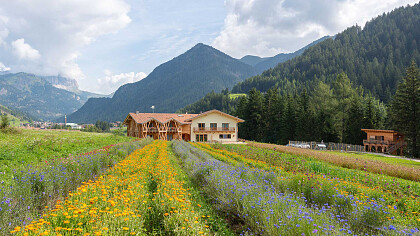 Struttura esterna estate 2 - Ecogreen Fiores Agriturismo