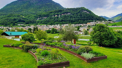 Arboreto di Pieve Tesino | Appartamento Bucaneve