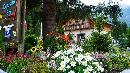 Reception estate 2 - Camping Civetta