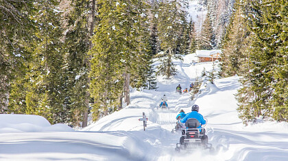 Tour in motoslitta tra le Dolomiti Sappadine - cover